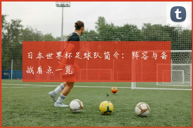 日本世界杯足球队简介：阵容与备战看点一览