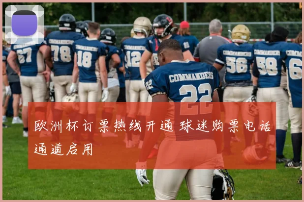 欧洲杯订票热线开通 球迷购票电话通道启用
