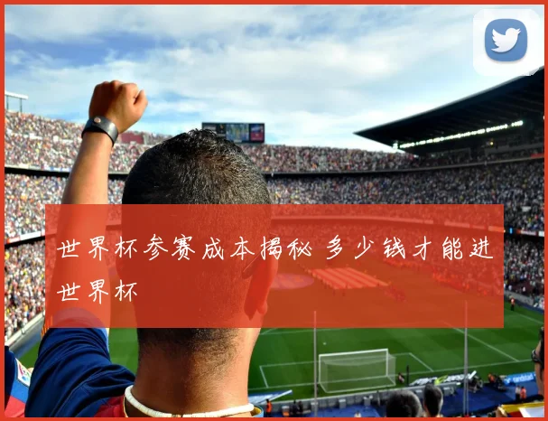 世界杯参赛成本揭秘 多少钱才能进世界杯