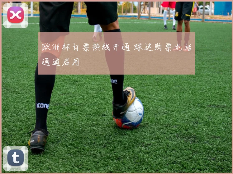 欧洲杯订票热线开通 球迷购票电话通道启用