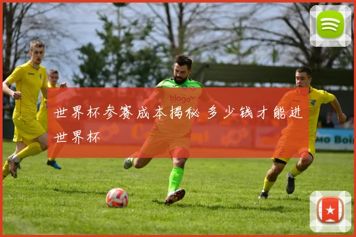 世界杯参赛成本揭秘 多少钱才能进世界杯