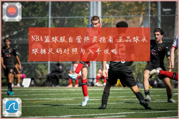 NBA篮球服自营热卖指南 正品球衣球裤尺码对照与入手攻略