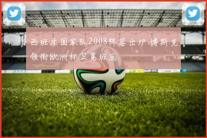 西班牙国家队2008阵容出炉 博斯克领衔欧洲杯卫冕班底