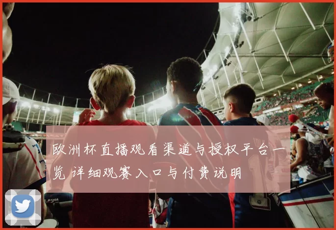 欧洲杯直播观看渠道与授权平台一览 详细观赛入口与付费说明