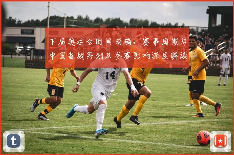 下届奥运会时间明确，赛事周期与中国备战筹划及参赛影响深度解读