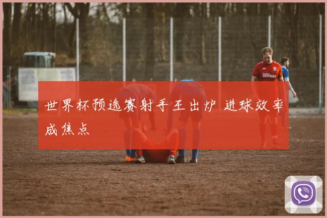 世界杯预选赛射手王出炉 进球效率成焦点