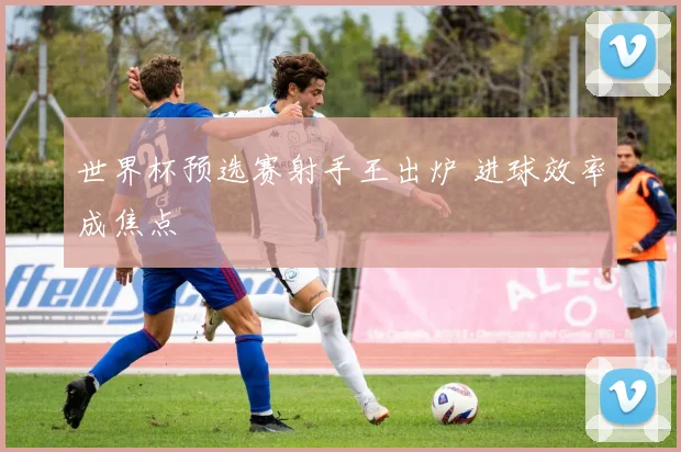 世界杯预选赛射手王出炉 进球效率成焦点